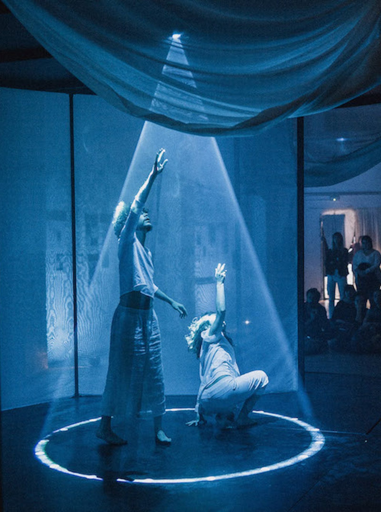 Dansa del Cosmos — image 2