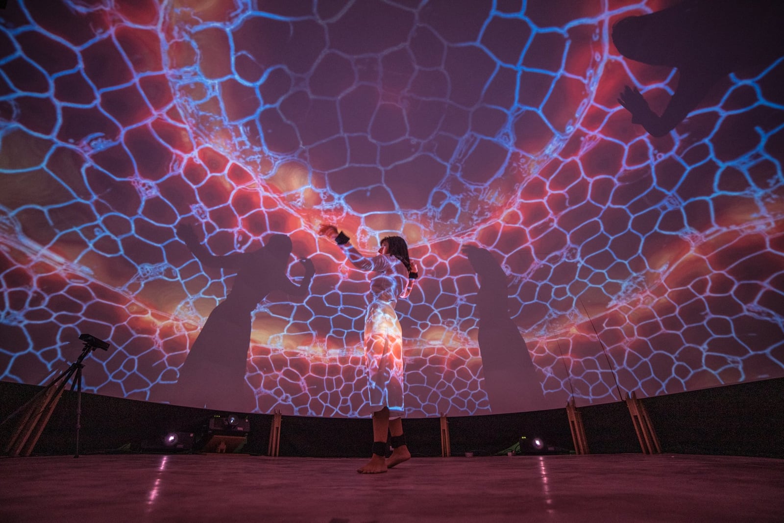 Wonders — image 1