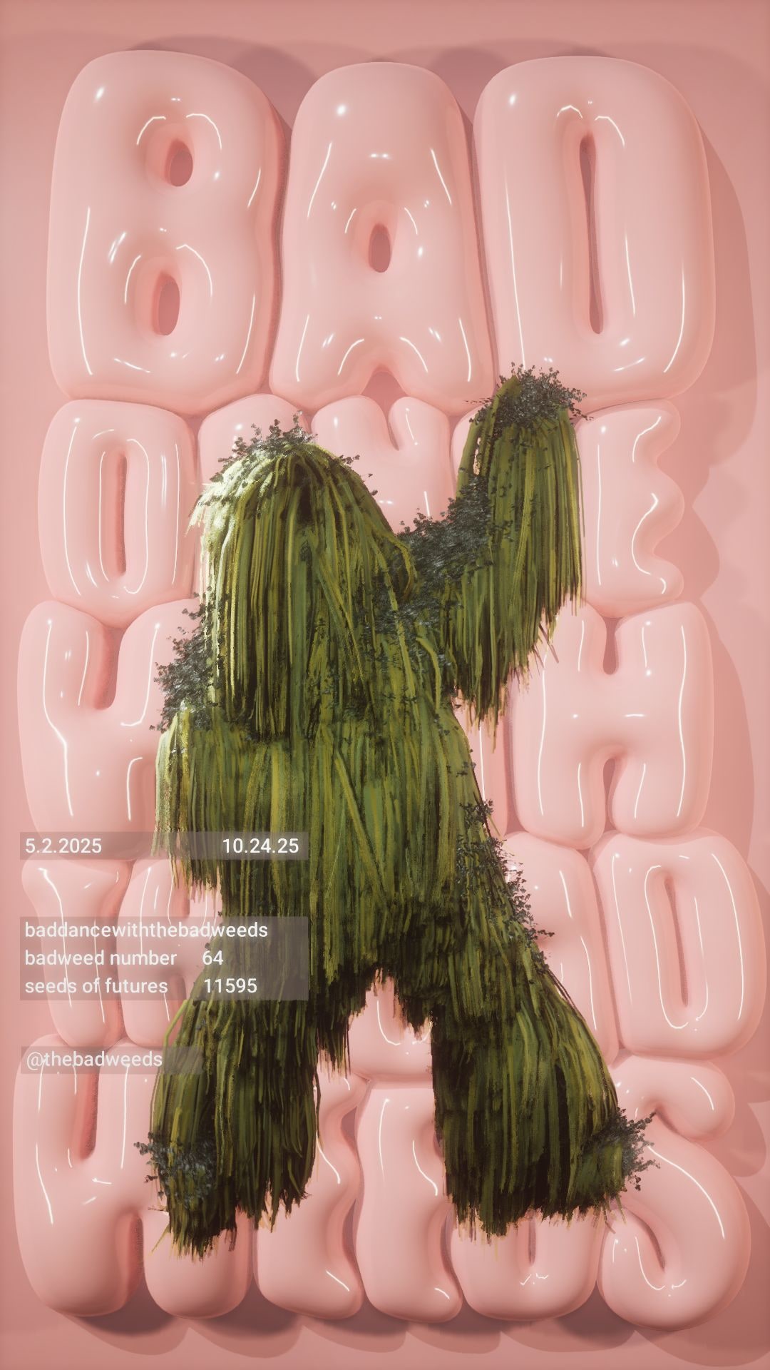 BADDANCE WITH THE BADWEEDS — image 11